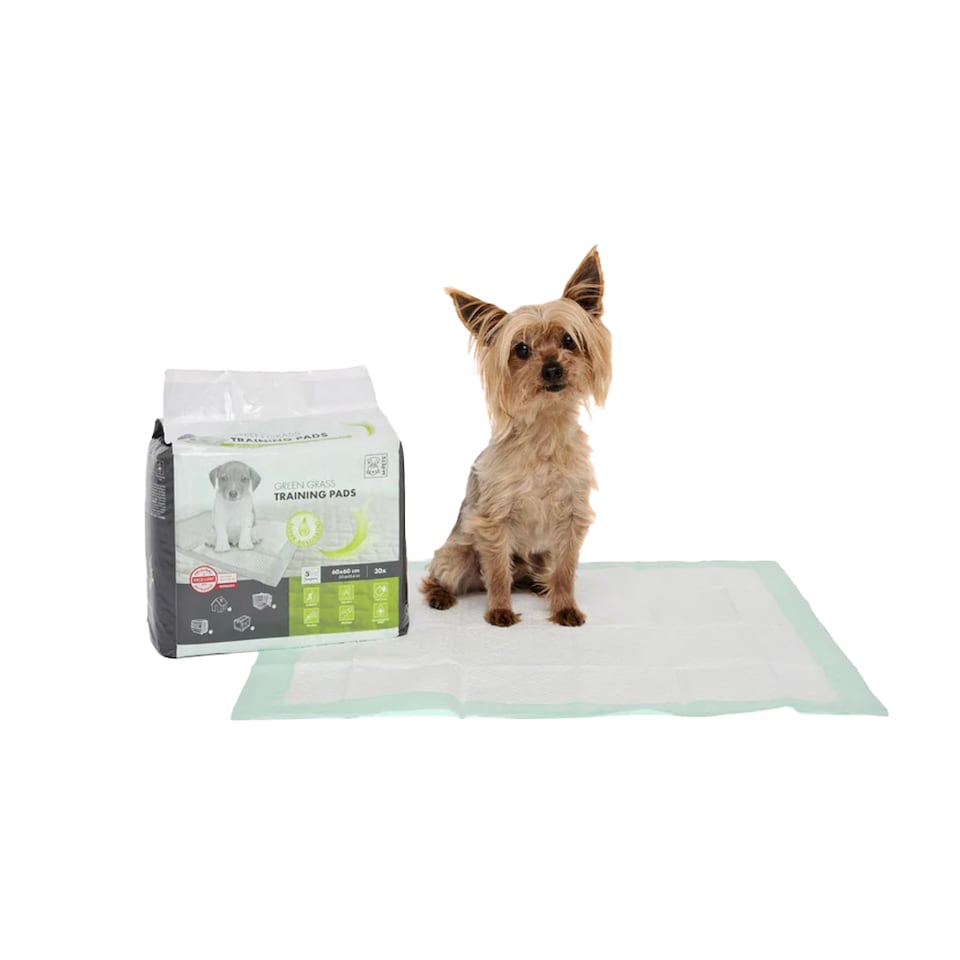 image 1 of M-Pets Green Grass Puppy Training Pads (Pack of 30) | Green | Green | One Size | 1