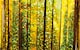 image 8 of Shimmer Tinsel Curtain, 3M x 1M Gold