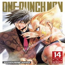 One-punch Man Vol. 14