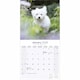 image 2 of Maltese 2026 Calendar | Square Wall Calendar | Dog Breed Gift | Plastic Free Packaging | by Avonside Publishing