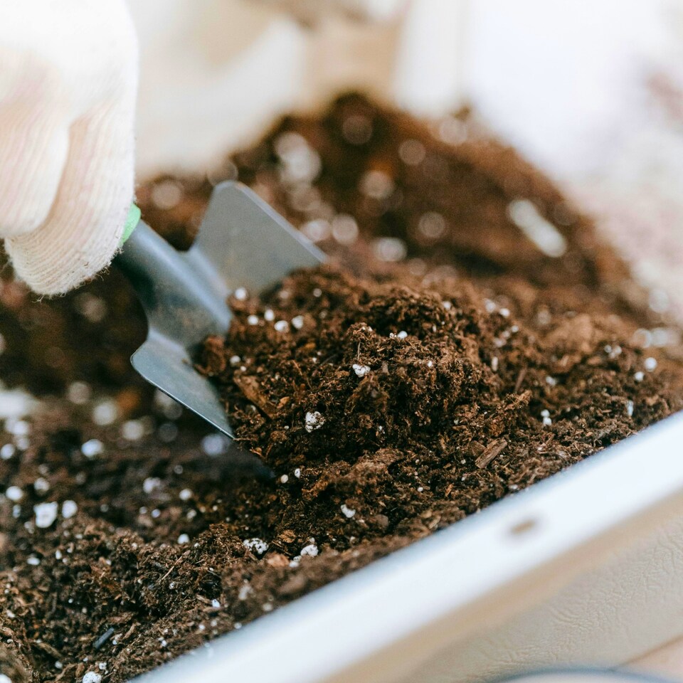 image 1 of House Plant Compost with 9 Month Feed - 40L - Free Draining Indoor Potting Compost for Healthy Growth
