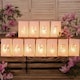image 2 of Just Married Cutout Wedding Lantern Candle Bags
