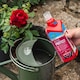 image 2 of Rose Feed & Protect 2in1 Pack 2x 500ml | Multi | 1 x Duo Pack | 1