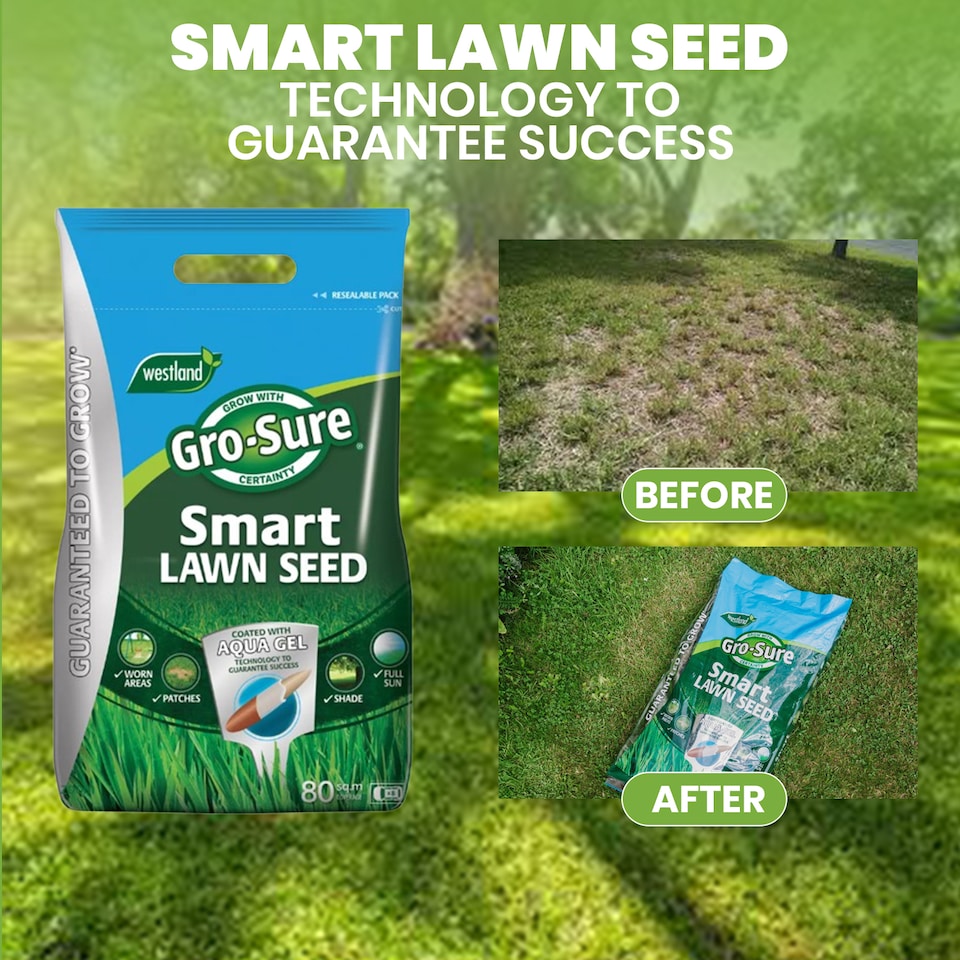 image 1 of Westland Gro-Sure Smart Lawn Seed 80 Meter Square 3.2kg Aqua Gel Coated Grass Seed Mix for Fast Growing Lawn Coverage