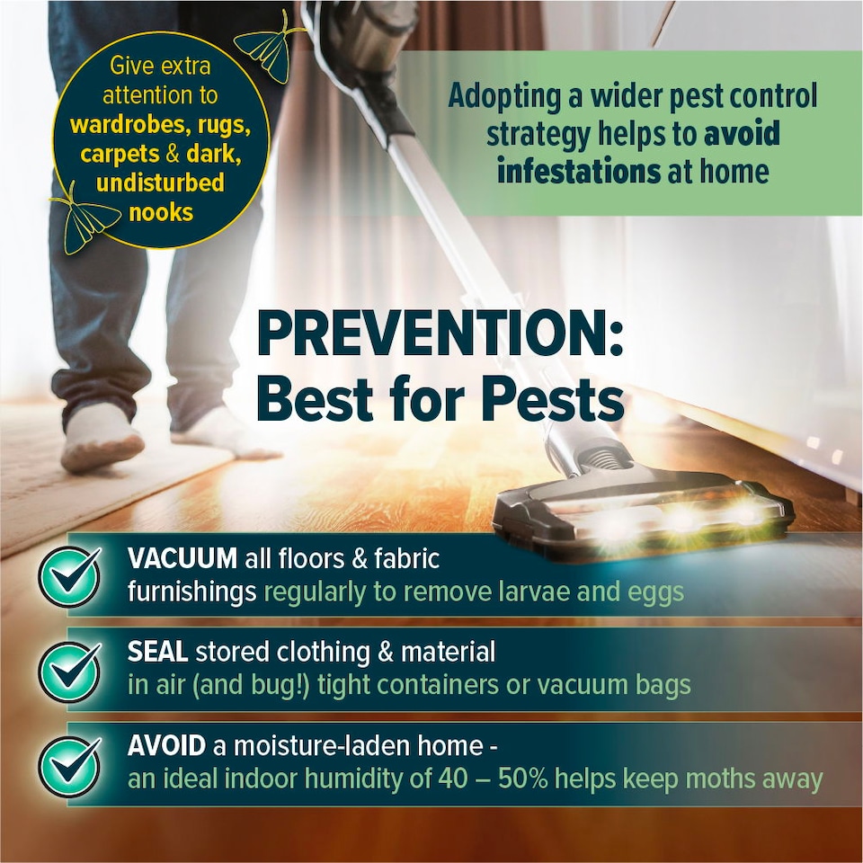 image 1 of NOPE Clothes Moth Traps (x6) Odourless Non-Toxic Pheromone Sticky Trap For Cupboards, Drawers & Clothes - Child & Pet Safe.