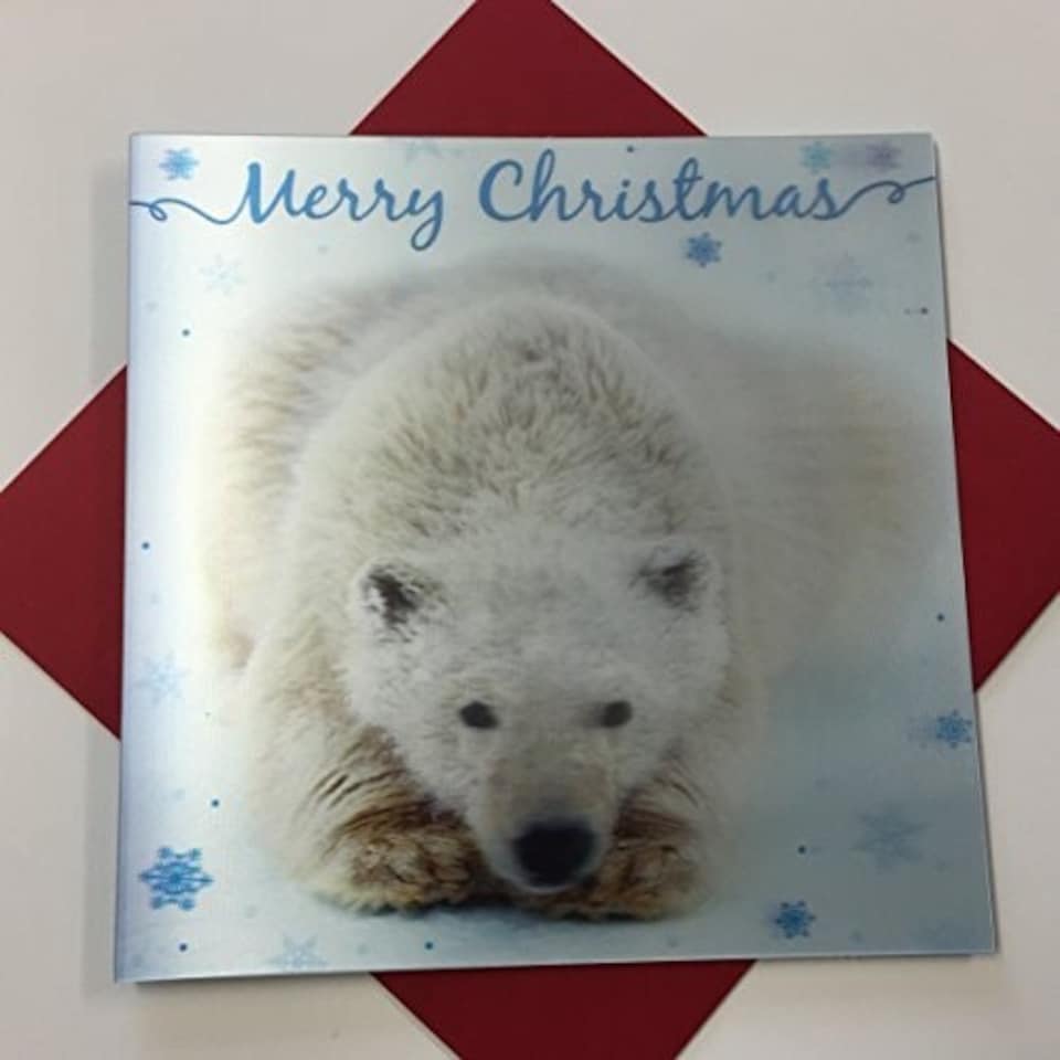 image 1 of 3D Holographic Up Close POLAR BEAR Merry Christmas Greeting Card