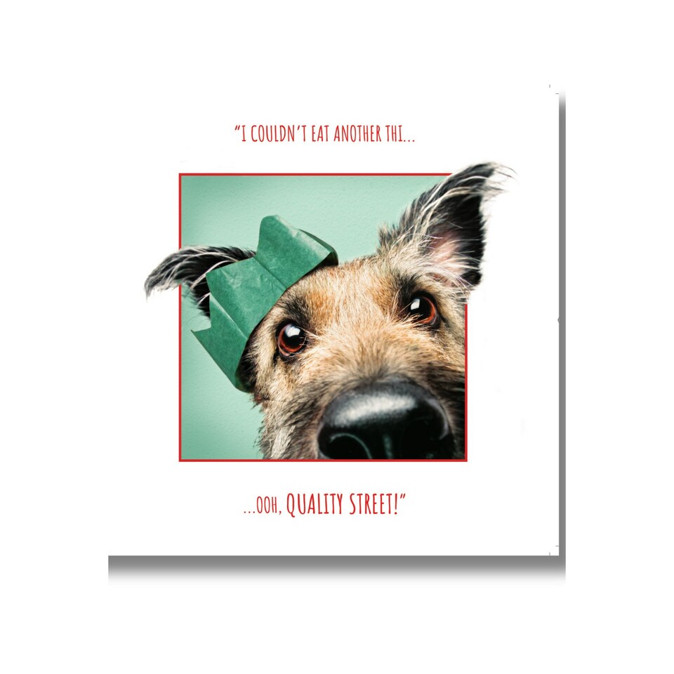 Emotional Rescue Christmas Card, Dog in Christmas Hat, 16.3 x 16.3 cms, Multi-Coloured