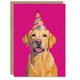 image 1 of Birthday Card Yellow Labrador Retriever Dog Party Hat Hot Pink