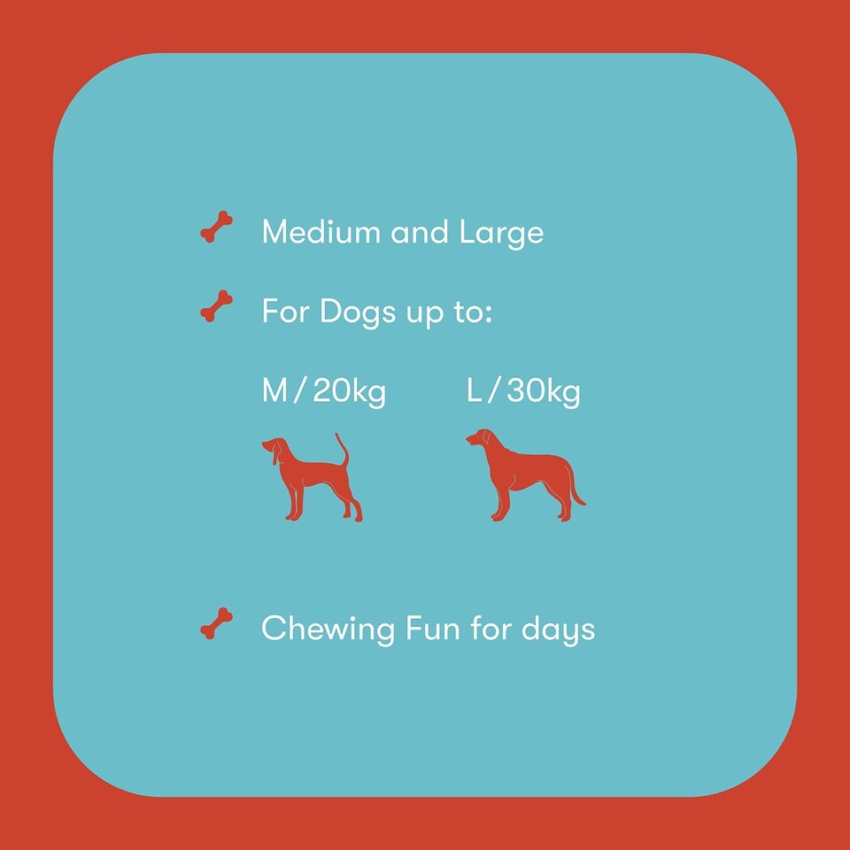 image 1 of Buddylicious Himalayan Yak Dog Chews Natural Yak Milk Cheese Chew for Long Lasting Dental Treat