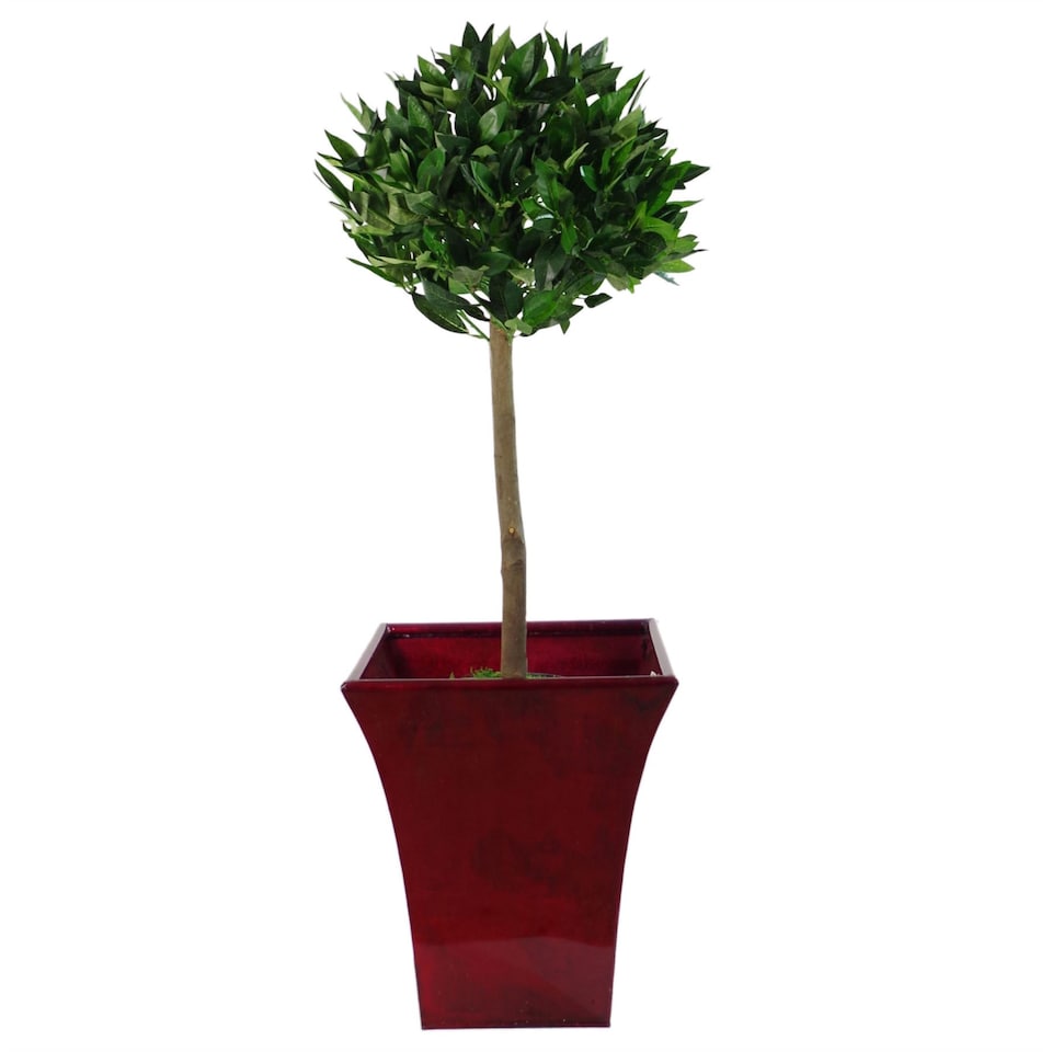 image 1 of Pair of 90cm (3ft) Plain Stem Artificial Topiary Bay Laurel Ball Trees | Green | 3ft