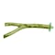 image 1 of 1PK Small 8" Wooden Branch Perch Canary Budgie Parrot Bird Cage Accessories