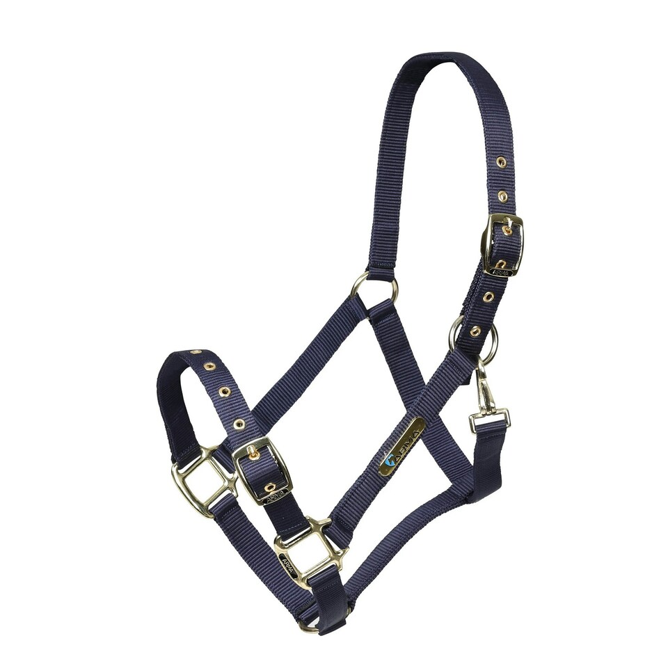 ARMA Adjustable Horse Headcollar - Navy - Cob
