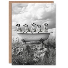 Meerkats in a Bathtub in Desert Black White Photo Birthday Greeting Card