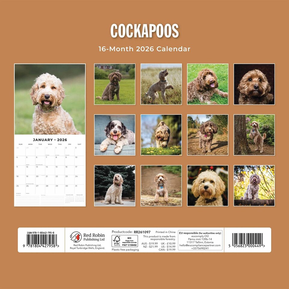 image 1 of Cockapoos Calendar 2026, Wall Calendars, Month To View, Dogs, Gift