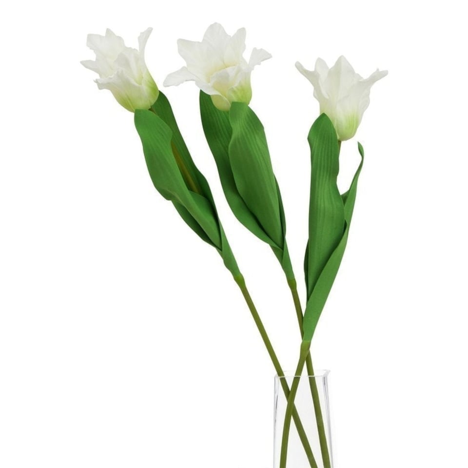 image 1 of The Natural Garden Collection Parrot Tulip - Artificial Flower (Single Stem) - Plastic - L9 x W9 x H67 cm - White