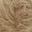 1612 Squirrel | Beige, Brown