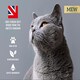 image 4 of Large 30L Natural Cat and Kitten Litter Wood Pellets Ultra Absorbent Biodegradable | Effective Odour Control | Antibacterial Premium Hygiene