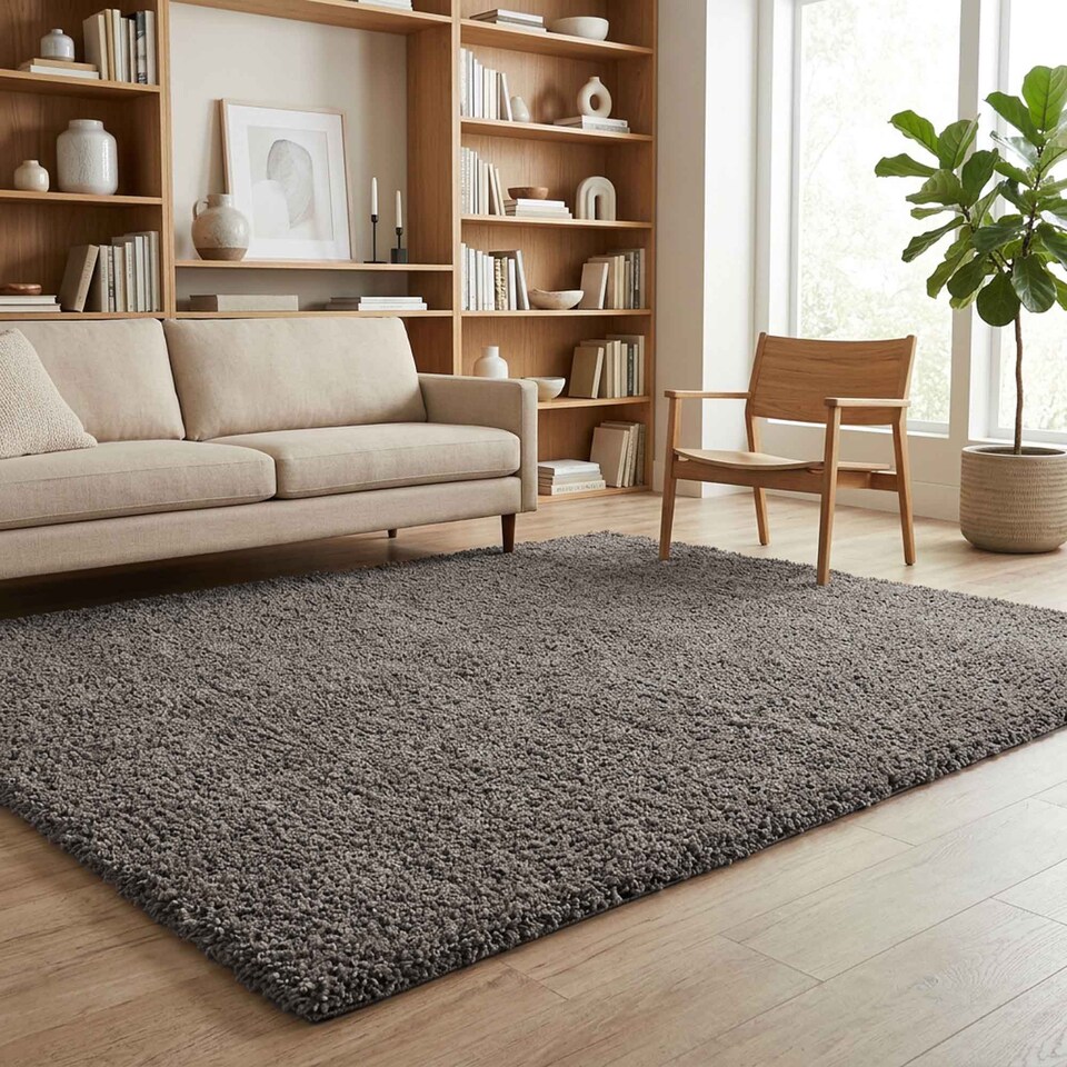 image 1 of Desire Rugs Ainsley Plain Living Room Shaggy Area Rug