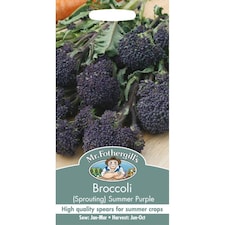 Mr. Fothergills Broccoli Sprouting Summer Purple Seeds