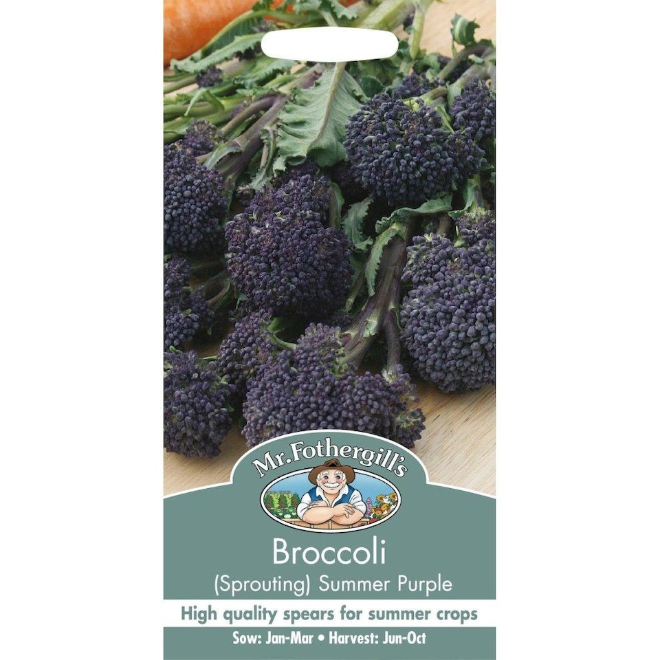 image 1 of Mr. Fothergills Broccoli Sprouting Summer Purple Seeds