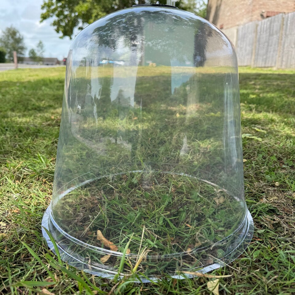 image 1 of Large Plastic Plant Protection Bell Cloche Covers with Ground Pegs - Pack of 6