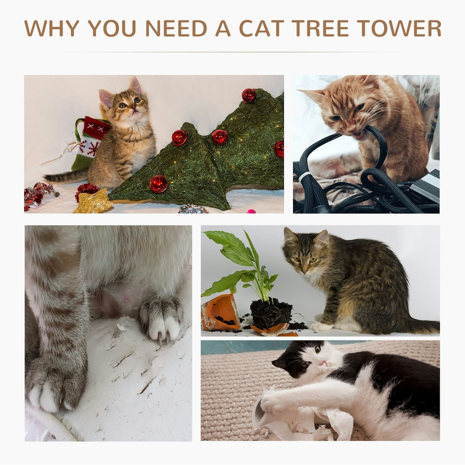 image 1 of PawHut 65cm Cat Tower, Small Cat Condo with Sisal Posts, Rope, Perches Grey