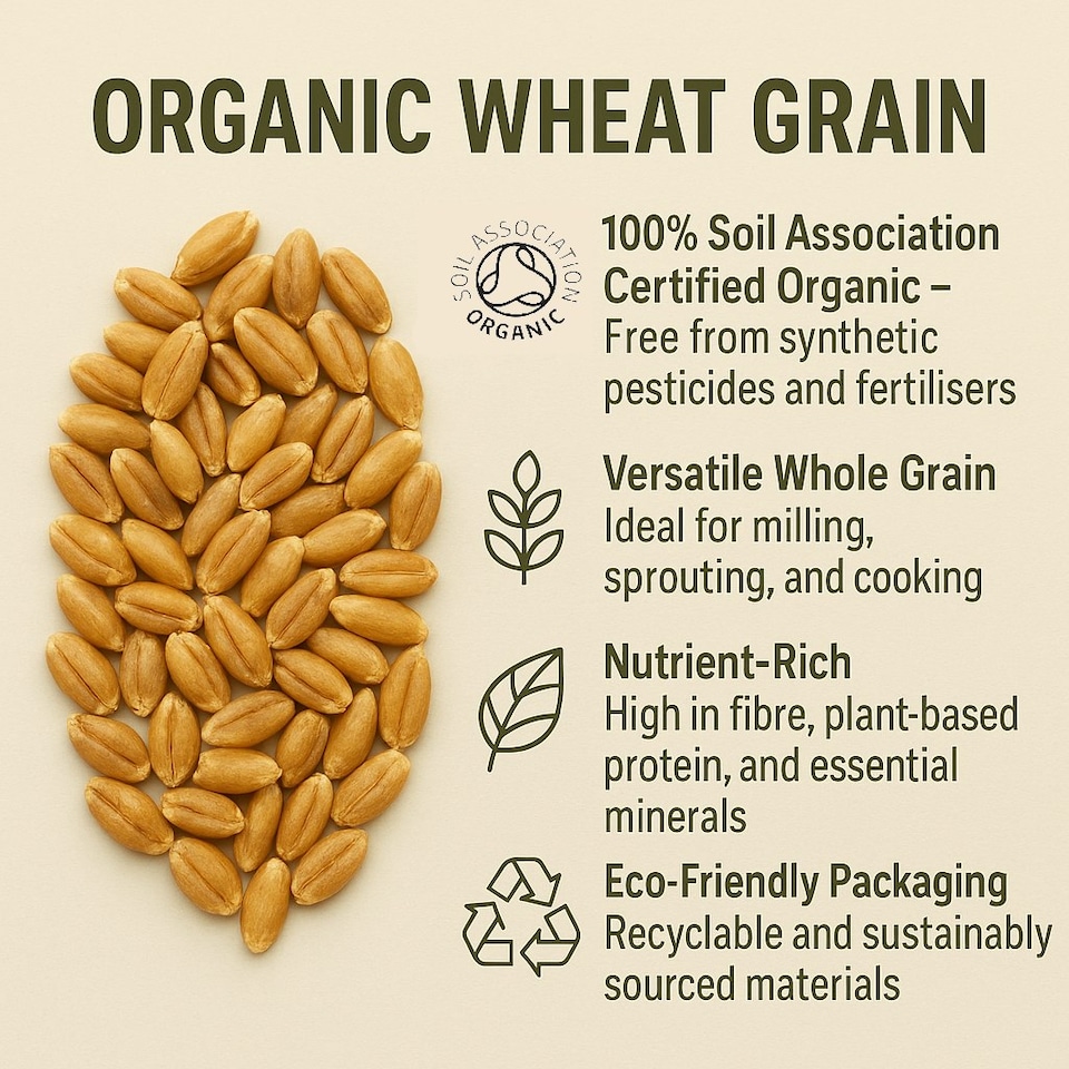 image 1 of Organic Wheat Grain 1kg (Sussex Wholefoods)