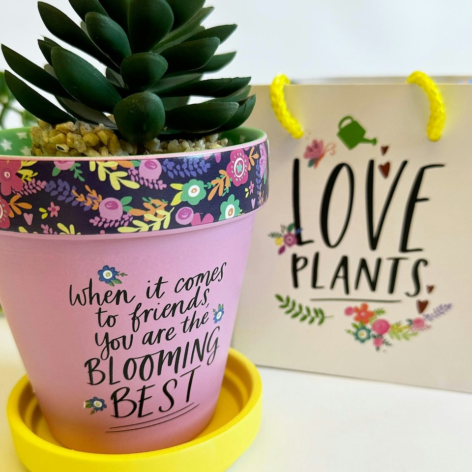 Love Plants Pot Ceramic Growing Garden When It Comes To Friends N/A