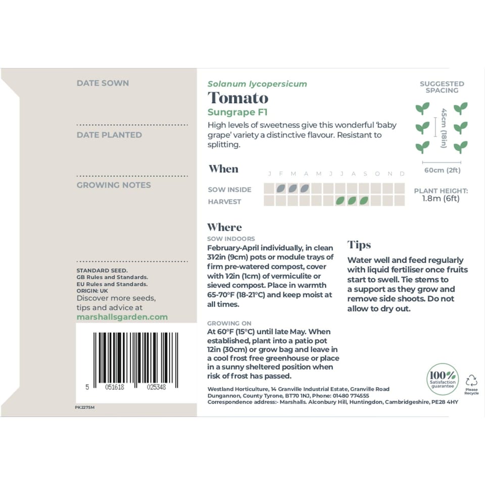 image 1 of Marshalls Garden Tomato Seeds Sungrape F1 - 6 Seeds | Green | Green, Red