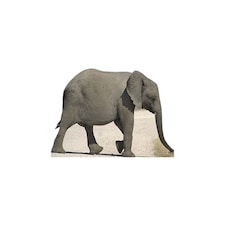 Baby Elephant Lifesize Cardboard Cutout - 114cm
