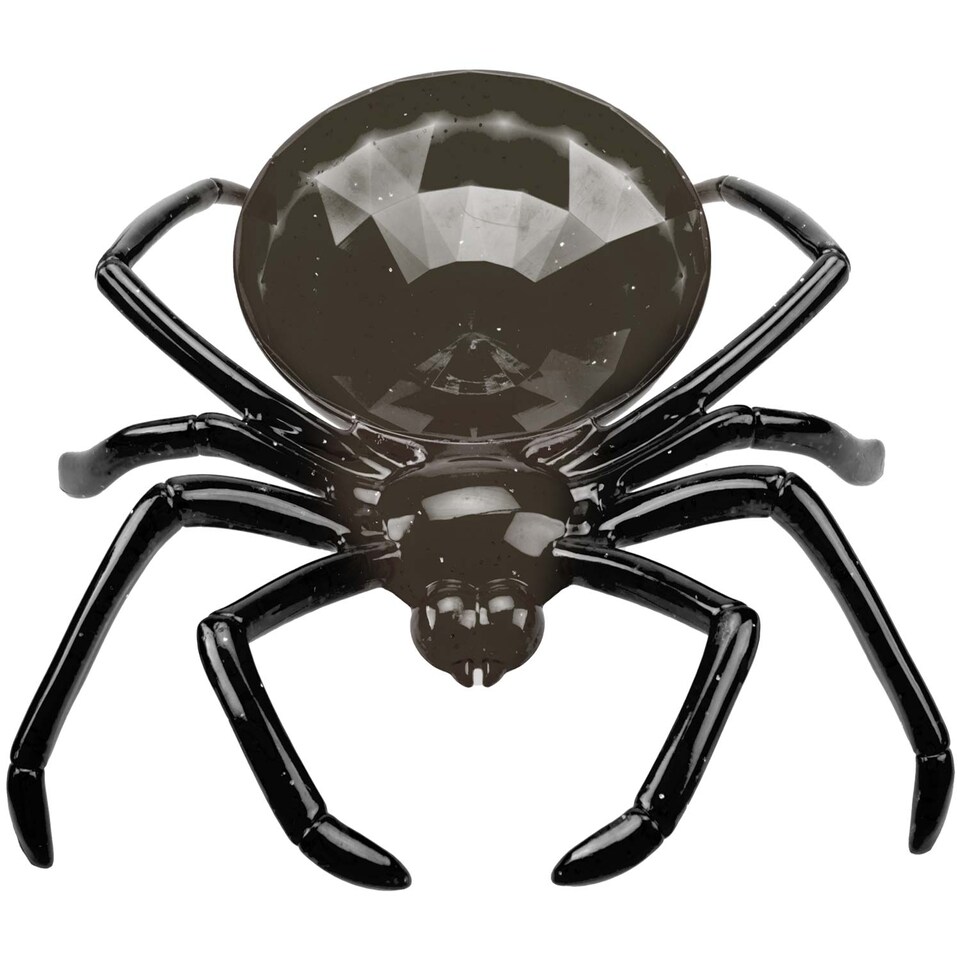 image 1 of PMS Halloween Spider Bowl - 24 cm