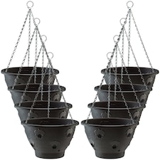 BloomAround Hanging Basket x8 (30cm)