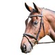 image 1 of Avignon Padded Leather Horse Bridle - Havana - X Full