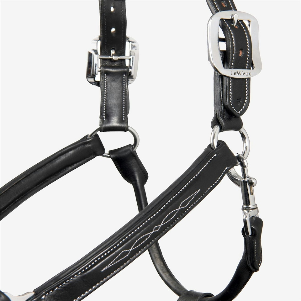 image 1 of LeMieux Stitched Leather Headcollar Brown | Full