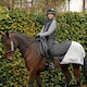 image 2 of Hy Silva Flash Waterproof Horse Exercise Sheet - Black/Silver - 5´