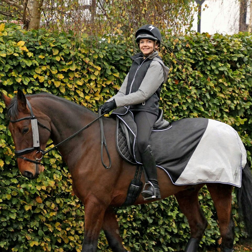 image 1 of Hy Silva Flash Waterproof Horse Exercise Sheet - Black/Silver - 5´