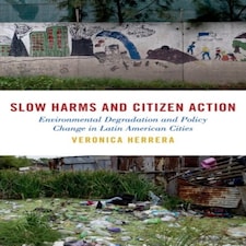 Slow Harms And Citizen Action