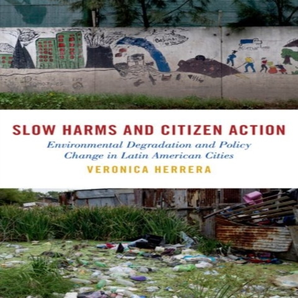 Slow Harms And Citizen Action