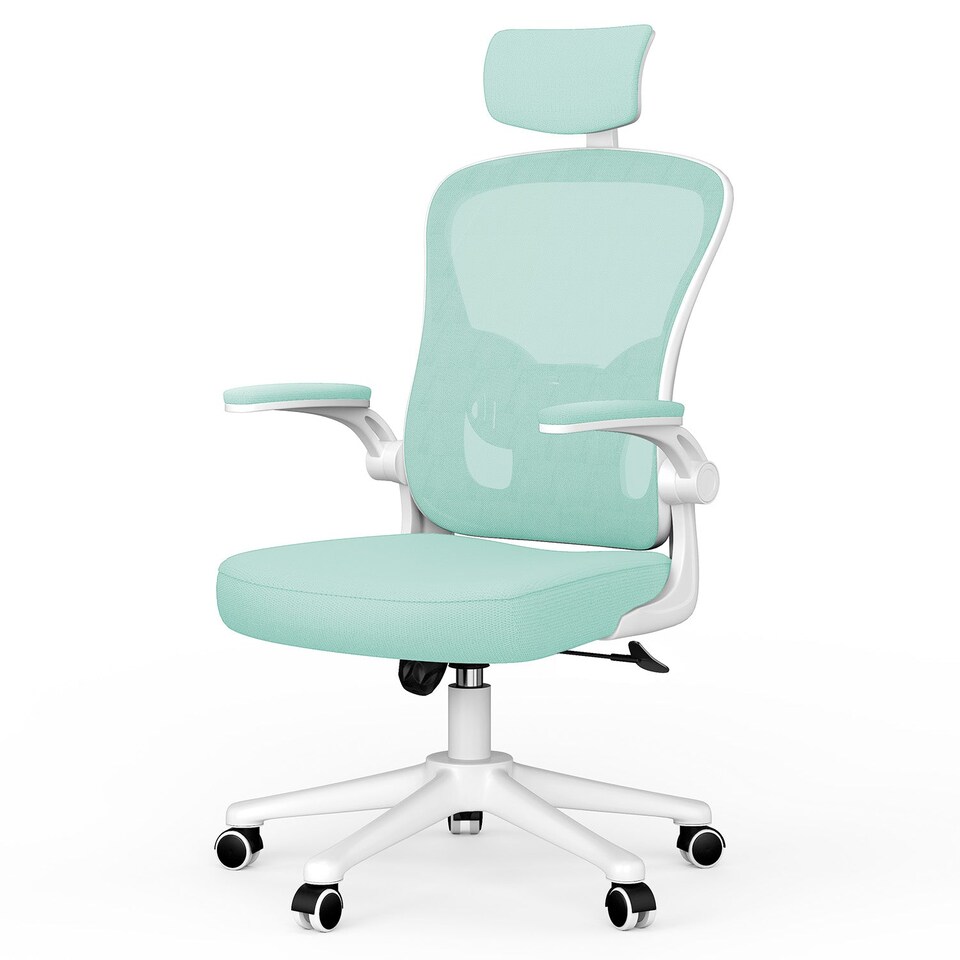 image 1 of Rattantree Ergonomic Office Chair With Headrest & Lumbar Support