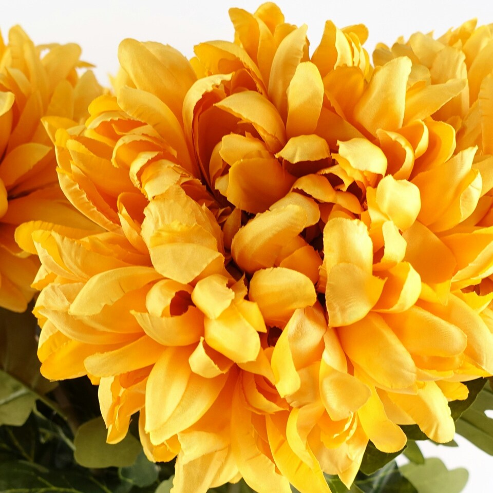 image 1 of Pack of 6 x 75cm Extra Large Reflex Chrysanthemum - Gold