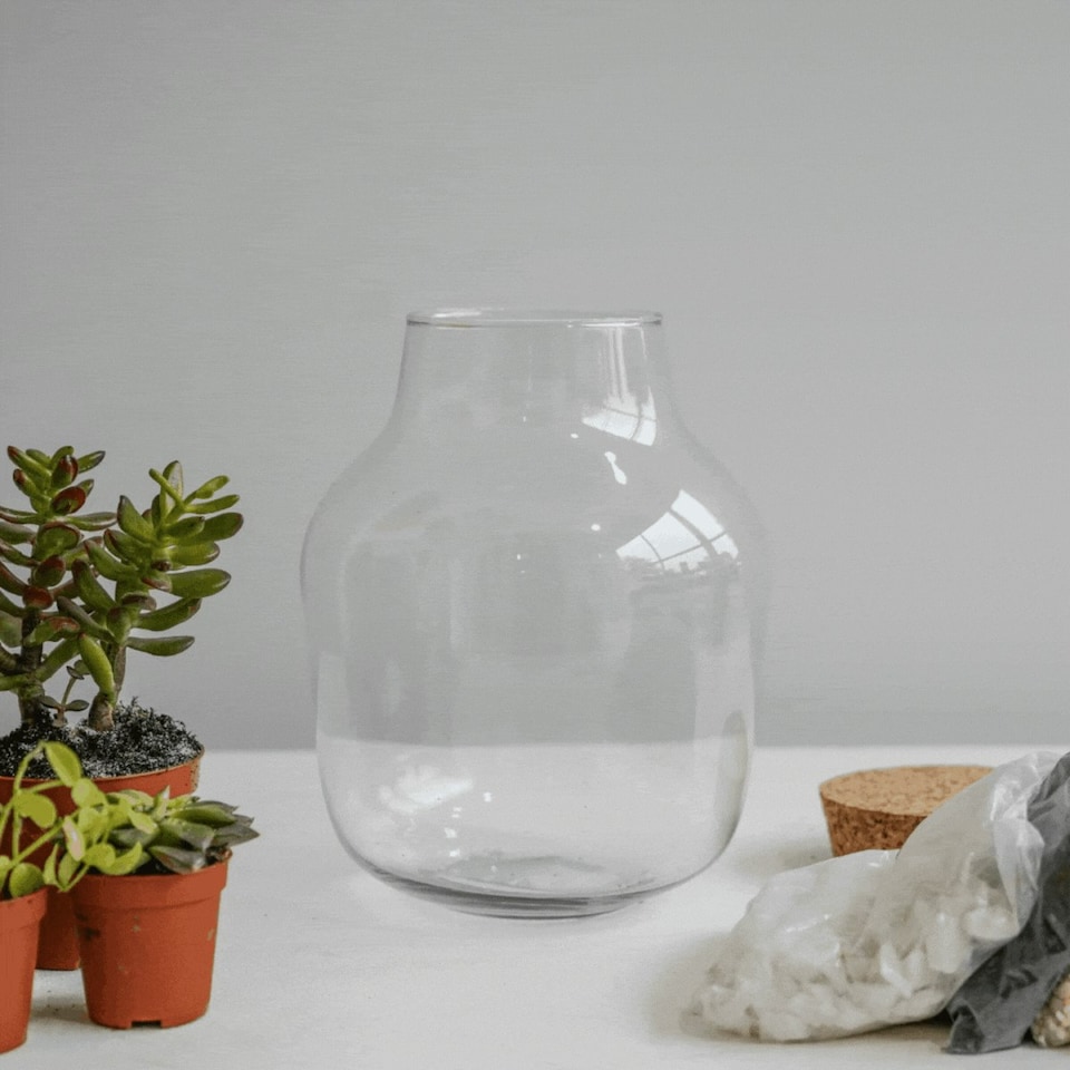 image 1 of Angluar Glass Small Terrarium DIY Kit Clear