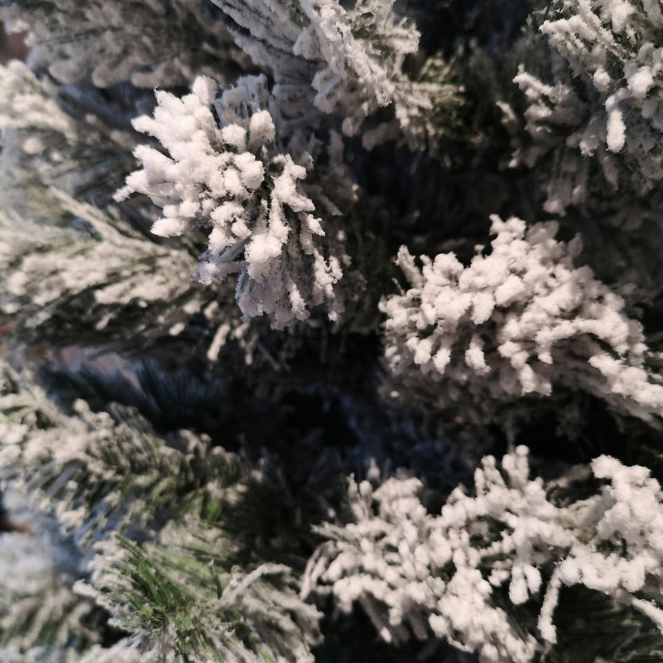 image 1 of Kaemingk 6ft (180cm) Flocked Snowy Imperial Pine Hinged Christmas Trees