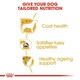 image 10 of Royal Canin Yorkshire Terrier - 1.5KG
