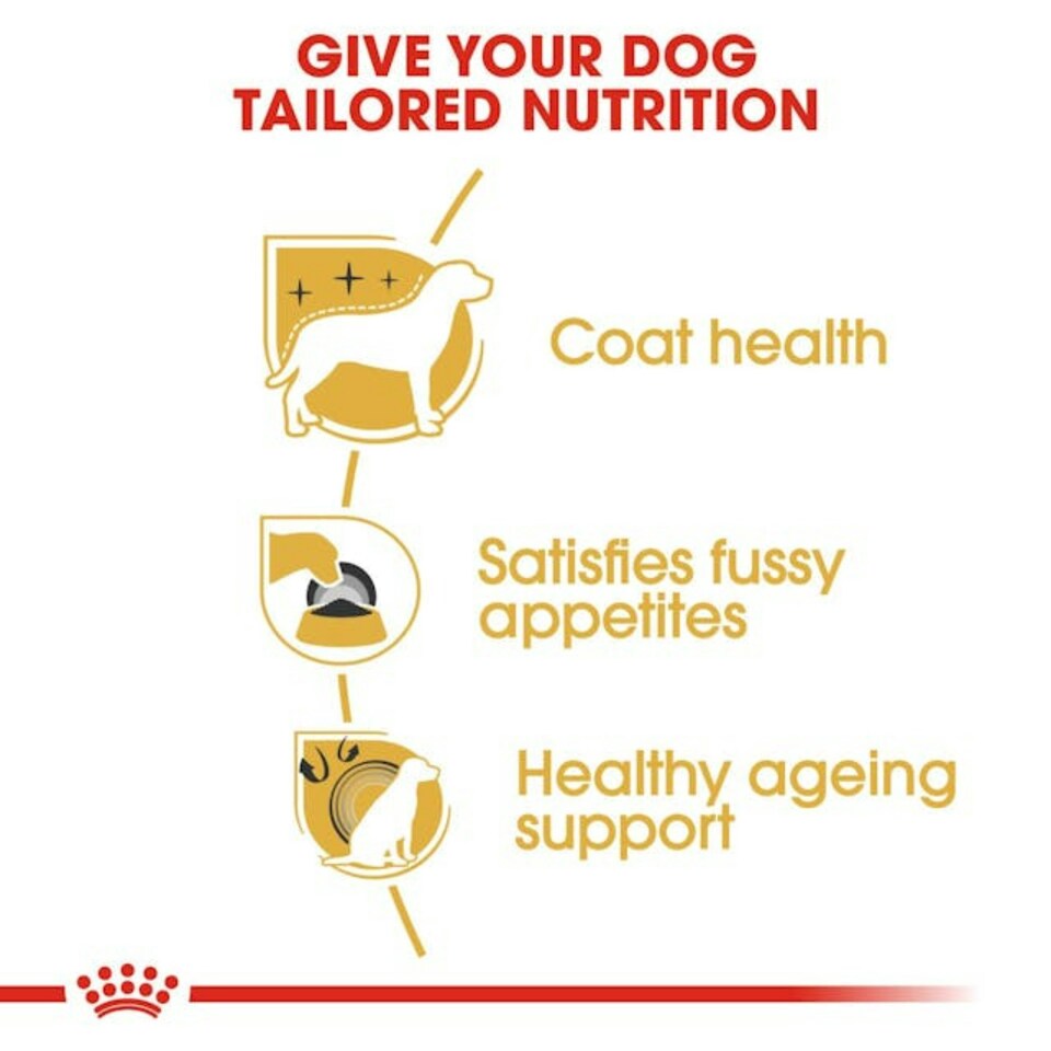 image 1 of Royal Canin Yorkshire Terrier - 1.5KG
