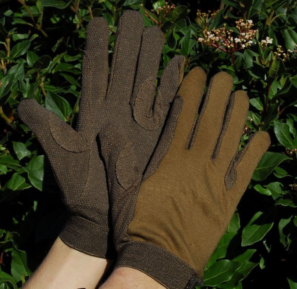 image 1 of Rhinegold Cotton Pimple Horse Riding Gloves | Blue | M