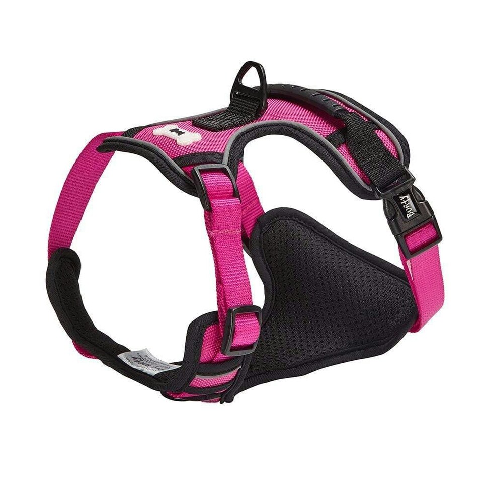 image 1 of Bunty Adventure Harness Pink | XL