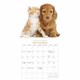 image 4 of Kittens Friends Square Wall Sunday Start