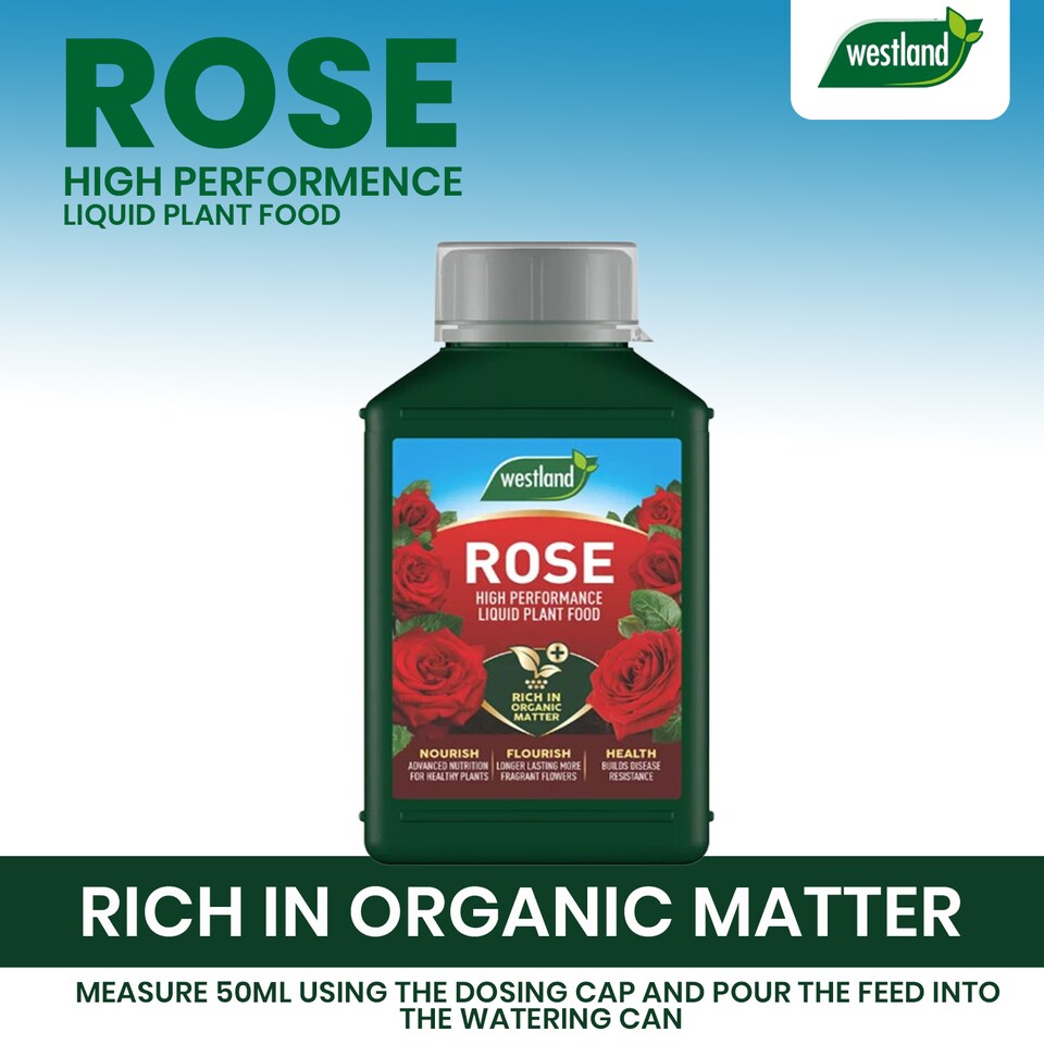image 1 of Westland Rose High Performance Plant Food Liquid 1L & Granular 3kg Horse Manure Enriched Feed for Healthy Vibrant Roses