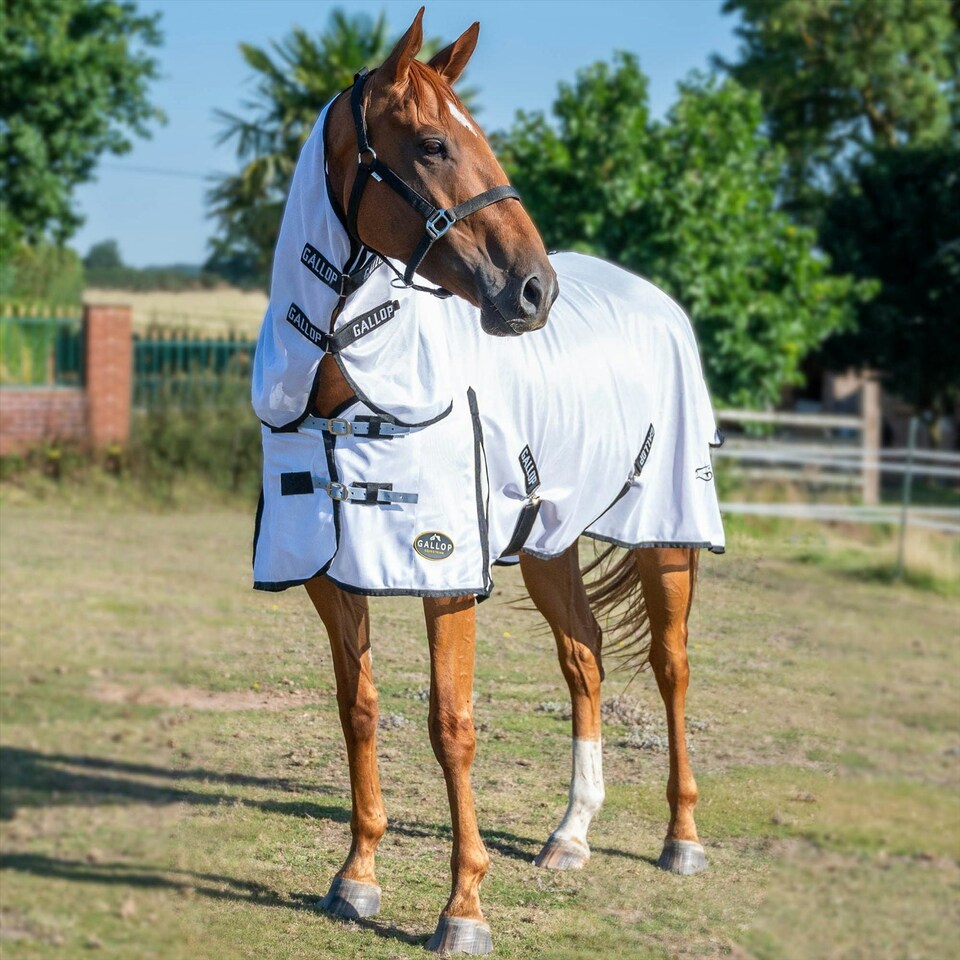 image 1 of Gallop Equestrian Fly Mesh Combo Rug Cream | Size: 6ft 6
Colour: Beige/Sky