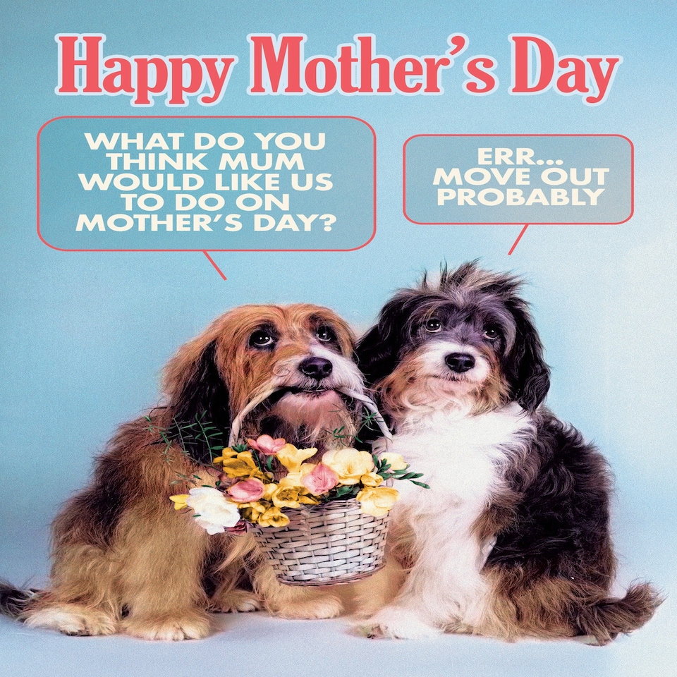 image 1 of What Do You Think Mum Would Like Us To Do? - Funny Mother's Day Card